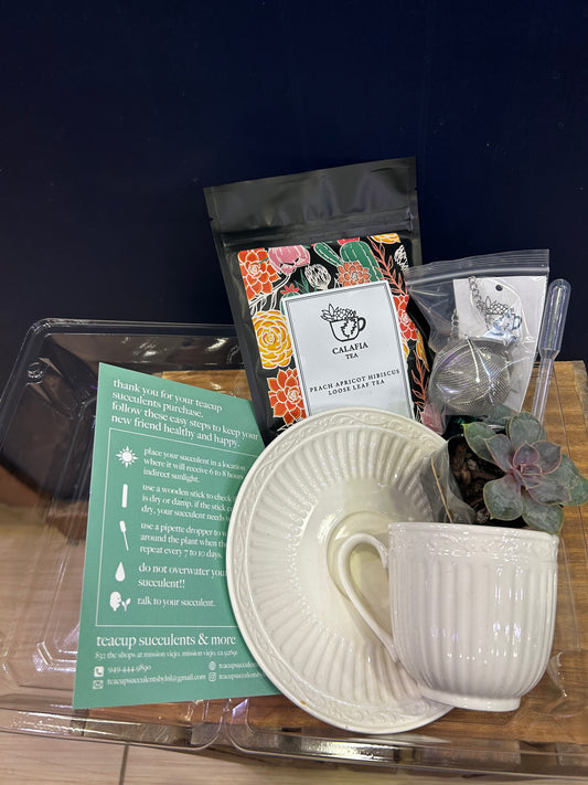 Teacup & Tea Set (Ivory)